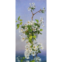 Tableau fleurs classiques sur toile. Sophie Anderson, Blossom I