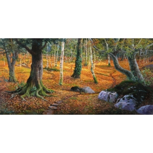 Leinwandbilder Wald und Natur. Adriano Galasso, Unterholz