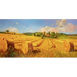 Wall art print and canvas. Andrea Del Missier, Tuscan Field