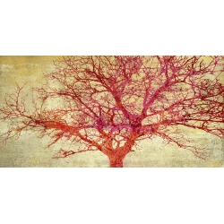 Cuadro árbol en canvas. Alessio Aprile, Coral Tree