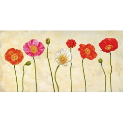 Tableau floral sur toile. Ann Cynthia, Coquelicots