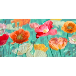 Tableau floral sur toile. Coquelicots en fleurs I