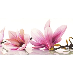 Tableau floral sur toile. Magnolia