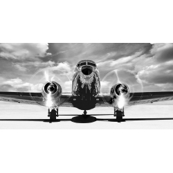 Wall art print and canvas. Gasoline Images, Airplaine taking off