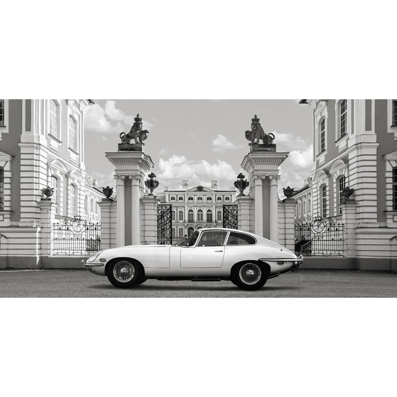 Cuadro de coches en canvas. Gasoline Images, Princess at the Palace