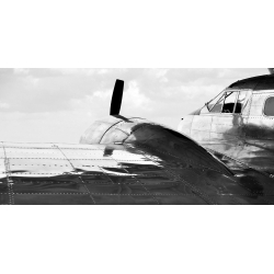 Quadro, stampa su tela. Monica Borboor, Aeroplano vintage
