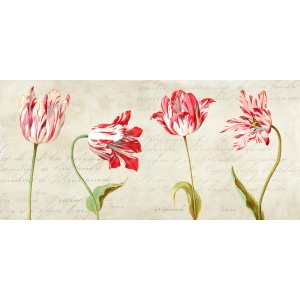 Cuadros botanica en canvas. Remy Dellal, Botánica moderna