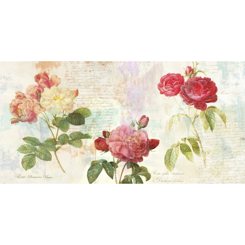 Cuadros botanica en canvas. Eric Chestier, Redouté's Roses 2.0