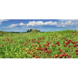 Leinwandbilder. Bauernhaus mit Zypressen und Mohnblumen, Italien