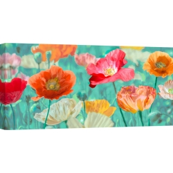 Wall art print and canvas. Cynthia Ann, Poppies in bloom