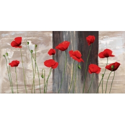 Wall art print and canvas. Jenny Thomlinson, Country Poppies
