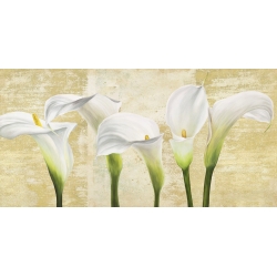 Wall art print and canvas. Jenny Thomlinson, Callas on Gold (neutral variation)
