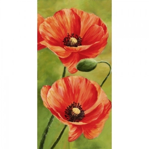 Leinwandbilder mit blumen. Luca Villa, Mohn im Wind 2