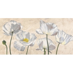 Tableau floral sur toile. Luca Villa, Coquelicots en blanc
