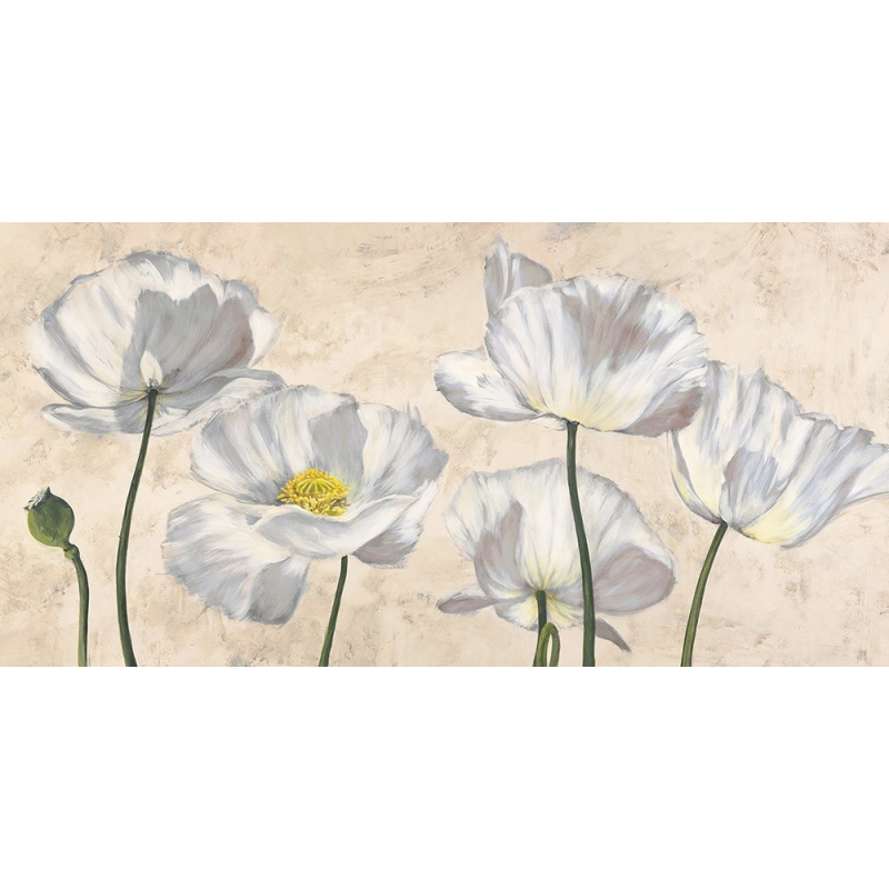 Cuadros de flores en canvas. Luca Villa, Amapolas en blanco