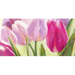 Cuadros tulipanes en canvas. Sanna, Tulipanes