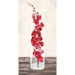 Leinwanddruck mit Blumen. Shin Mills, Arrangement of Orchids