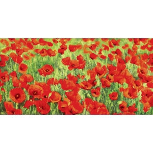 Tableau fleur sur toile. Silvia Mei, Champ de coquelicots