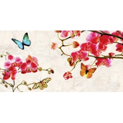 Tableau floral sur toile. Teo Rizzardi, Orchidées et papillons 