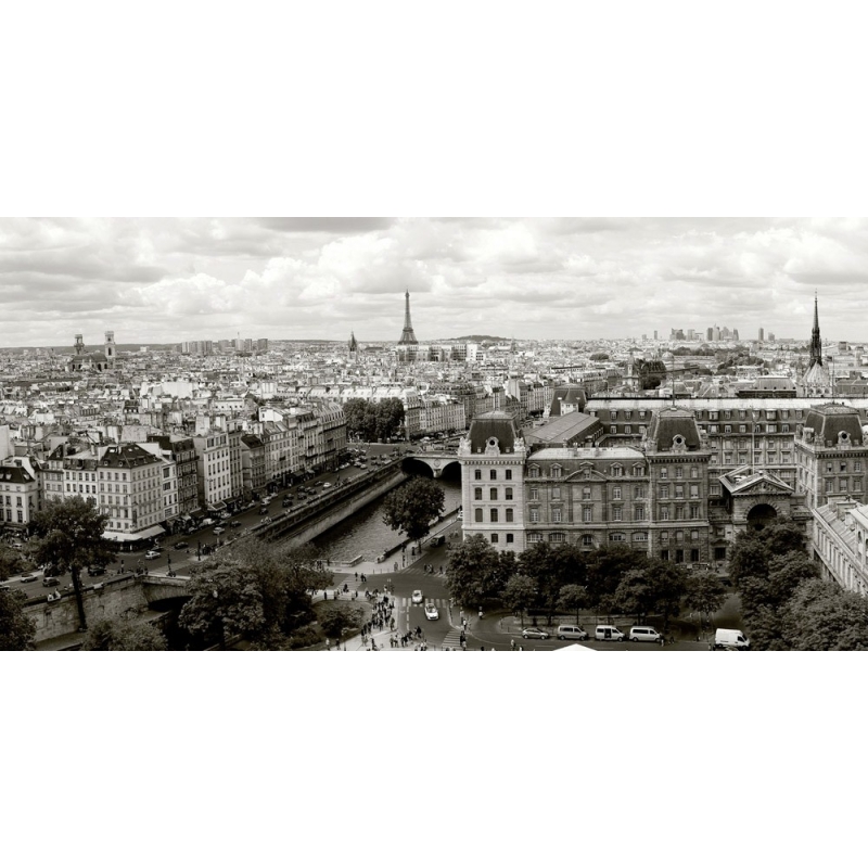 Wall art print and canvas. Ratsenskiy, Paris Panorama