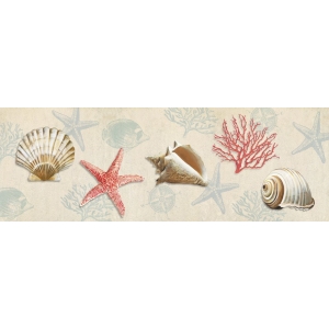 Cuadros marinos en canvas. Ted Broome, Regalos del oceano