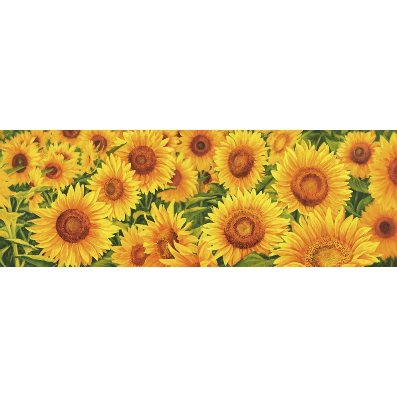Wall art print and canvas. Luca Villa, Field of Sunflowers