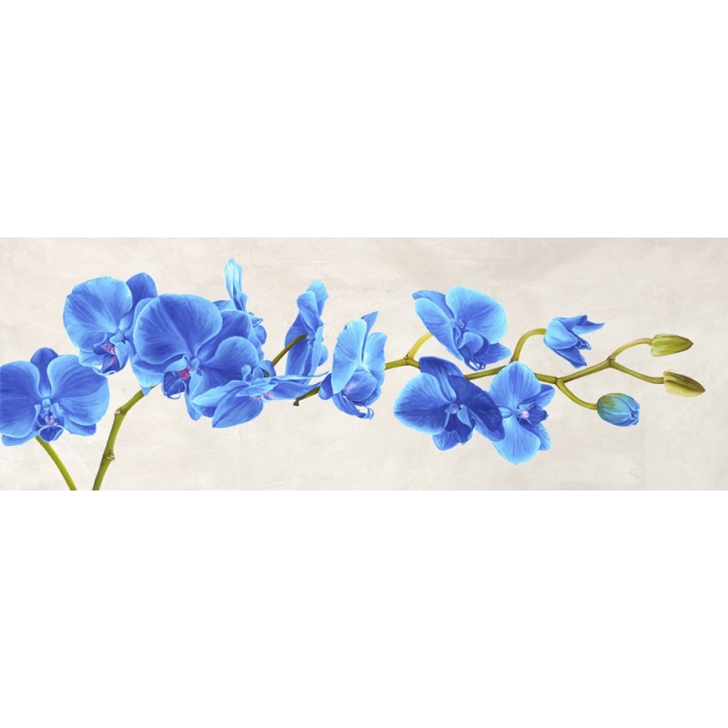 Wall art print and canvas. Shin Mills, Blue Orchid