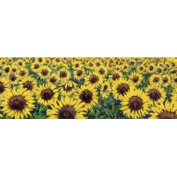 Wall art print and canvas. Tebo Marzari, Sunflowers (detail)