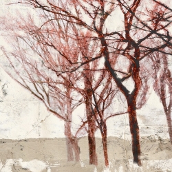 Wall art print and canvas. Alessio Aprile, Rusty Trees II