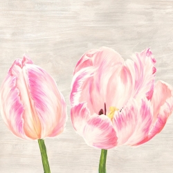 Wall art print and canvas. Jenny Thomlinson, Classic Tulips I