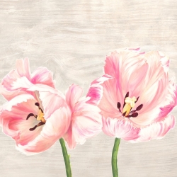 Wall art print and canvas. Jenny Thomlinson, Classic Tulips II