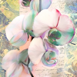 Tableau sur toile. Kelly Parr, Kaleidoscope Orchid (détail)