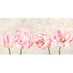 Cuadros tulipanes en canvas. Jenny Thomlinson, Tulipanes clásicos