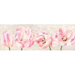 Cuadros tulipanes en canvas. Jenny Thomlinson, Tulipanes clásicos