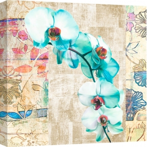 Cuadros de flores modernos en canvas. Kaleidoscope Orchid II (detalle)