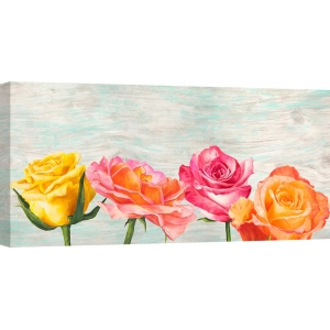 Cuadros de flores modernos en canvas. Jenny Thomlinson, Funky Roses