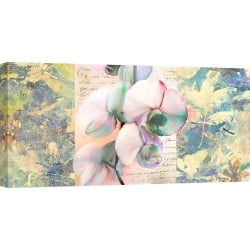 Wall art print and canvas. Kelly Parr, Kaleidoscope Orchid