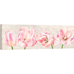 Leinwandbilder Blumen. Jenny Thomlinson, Classic Tulips