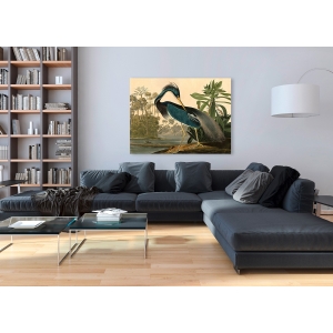 Leinwandbilder. John James Audubon, Louisiana Heron