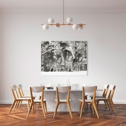 Wall art print and canvas. Anonymous, Wolves in the snow, Germany (BW)