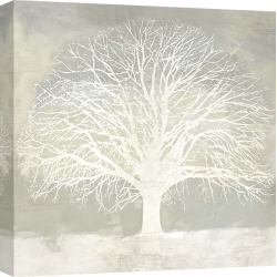 Cuadro árbol en canvas. Alessio Aprile, White Oak
