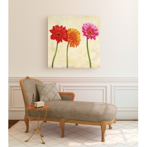 Cuadros de flores en canvas. Ann Cynthia, Gerberas (detalle)