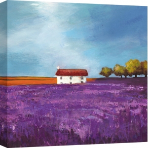 Leinwandbilder Landschaft. Philip Bloom, Lavendelfelder (Detail)