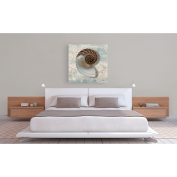 Wall art print and canvas. Ted Broome, Nautilus