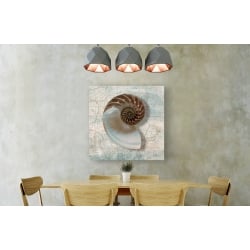 Wall art print and canvas. Ted Broome, Nautilus