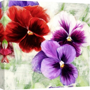 Leinwanddruck mit modernen Blumen. Jenny Thomlinson, Veilchen 1