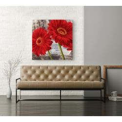 Wall art print and canvas. Jenny Thomlinson, Red Gerberas I