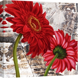 Leinwanddruck mit modernen Blumen. Jenny Thomlinson, Rote Gerbera 3
