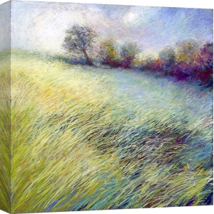 Cuadros de paisajes de campo en canvas. Nel Whatmore, Feathered field