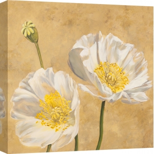 Cuadros de flores en canvas. Luca Villa, Amapolas en oro I